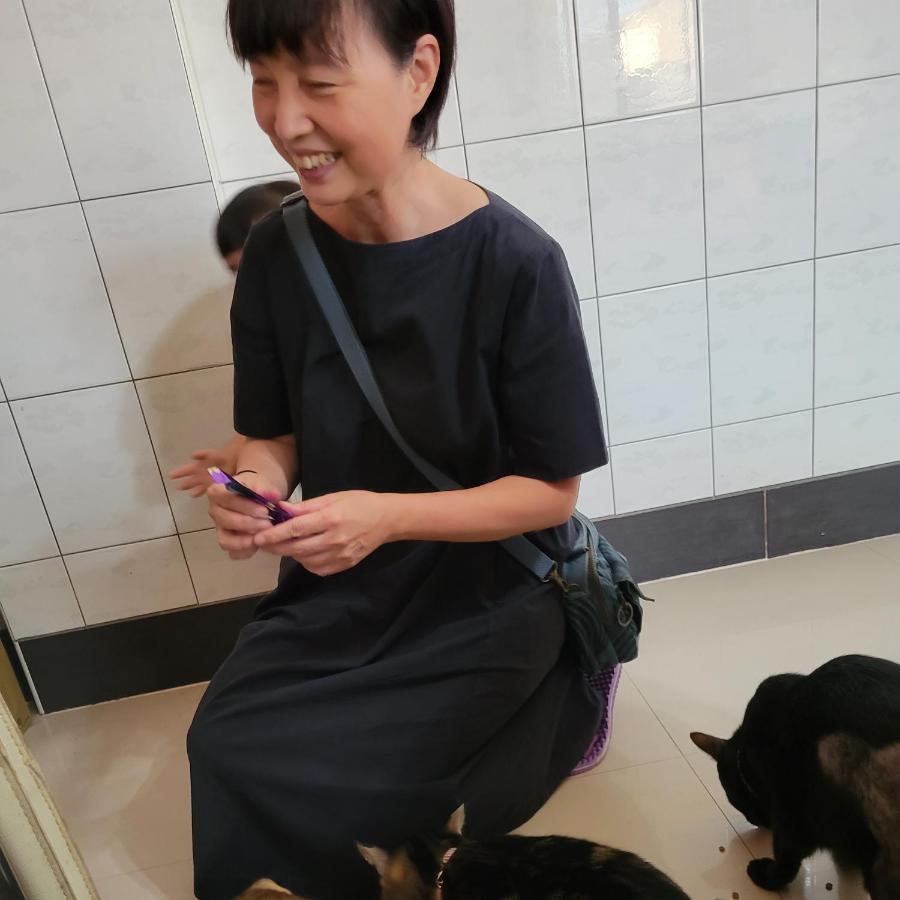 Qg Life 城中館 寵物親子釣魚人民宿 Jincheng Luaran gambar