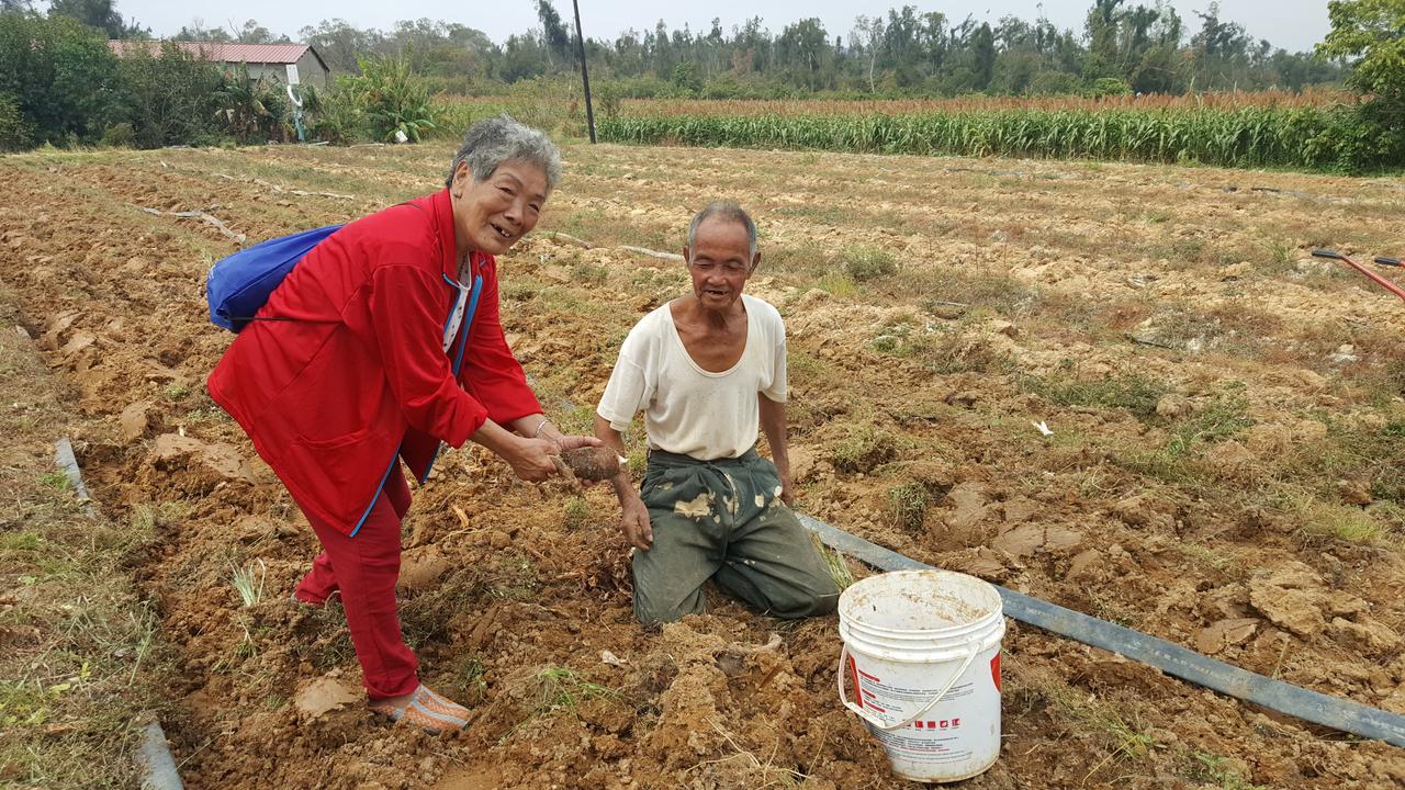 Qg Life 城中館 寵物親子釣魚人民宿 Jincheng Luaran gambar